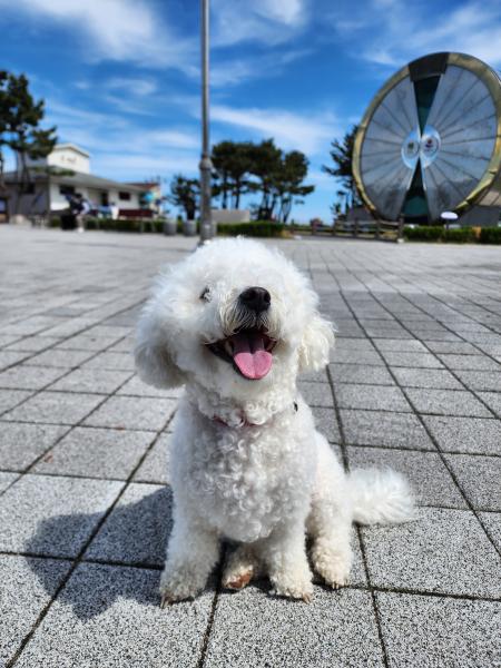 큰 이미지