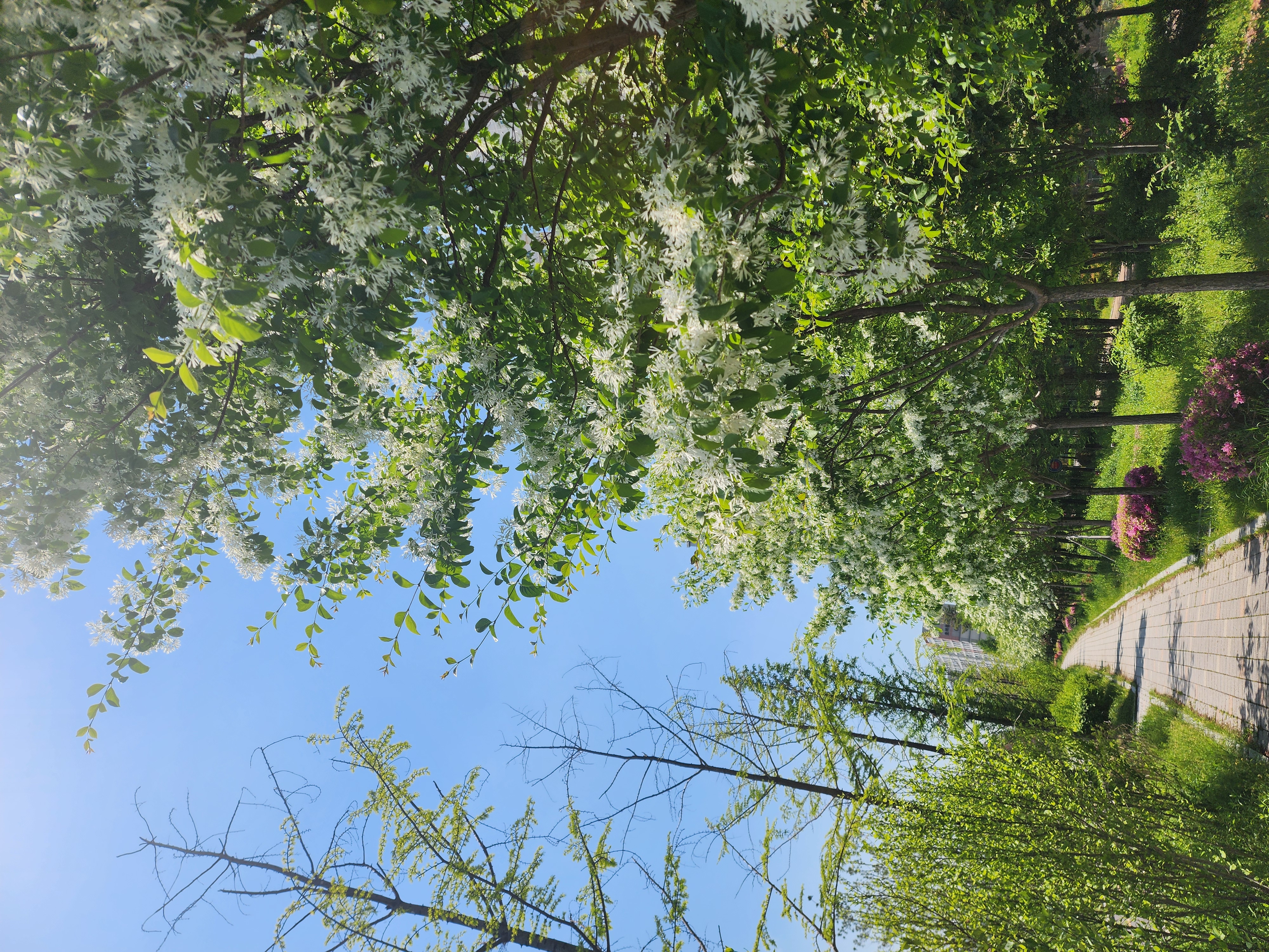 20250502_124615.jpg