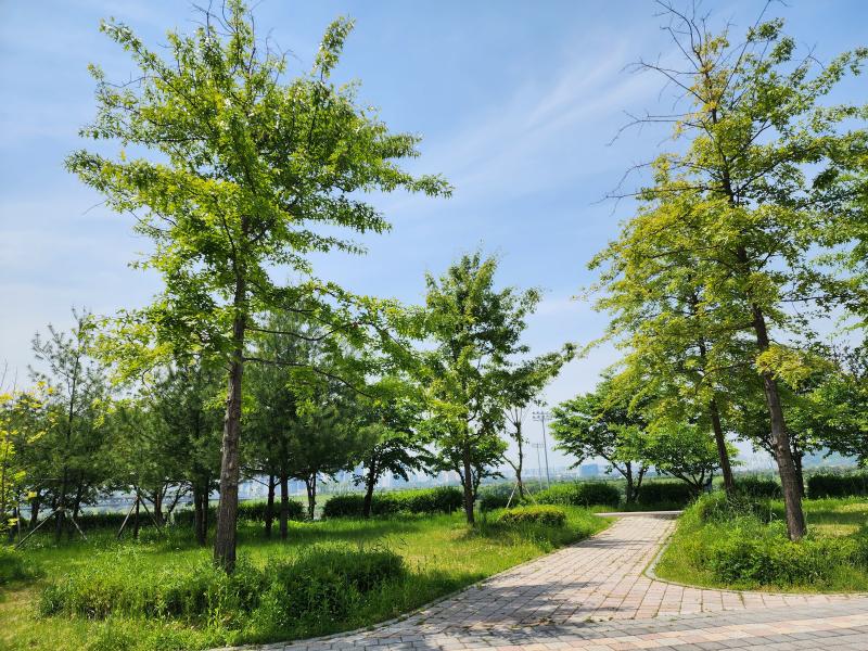 대출 규제에 전세시장도 냉랭