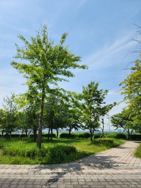 대출 규제에 전세시장도 냉랭